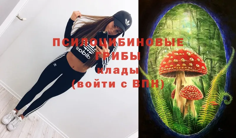 Галлюциногенные грибы Psilocybe  магазин продажи наркотиков  Кизел 